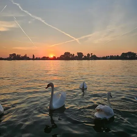 Splav Na Savi * Ostruznica