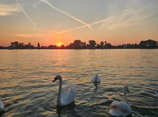 Splav Na Savi * Ostruznica