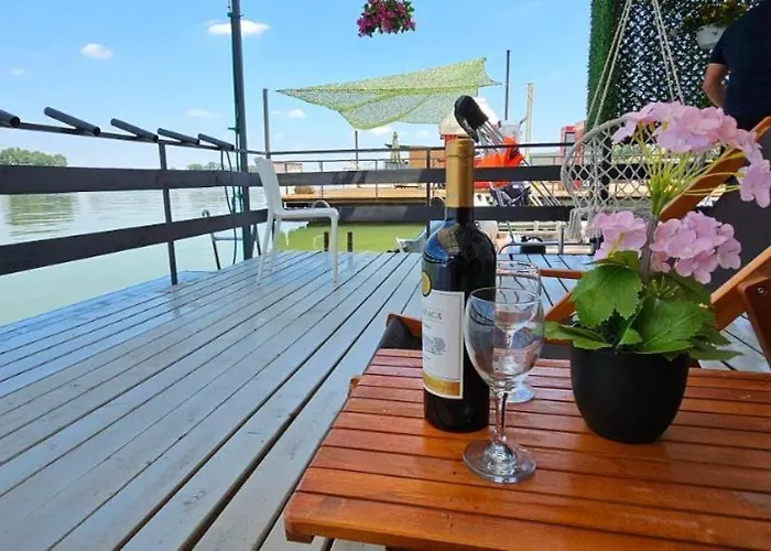 Splav Na Savi * Ostruznica